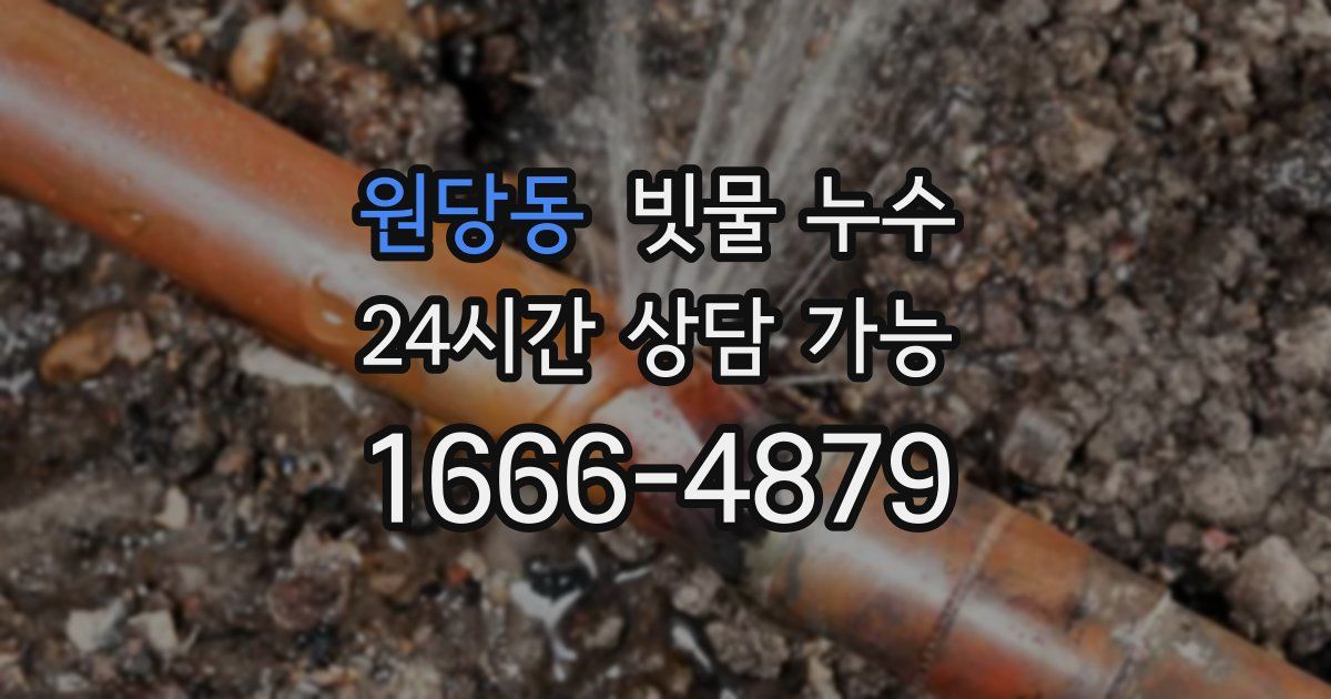 원당동 빗물 누수