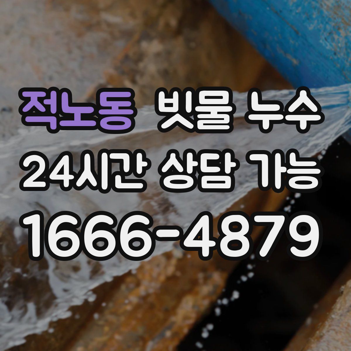 적노동 빗물 누수