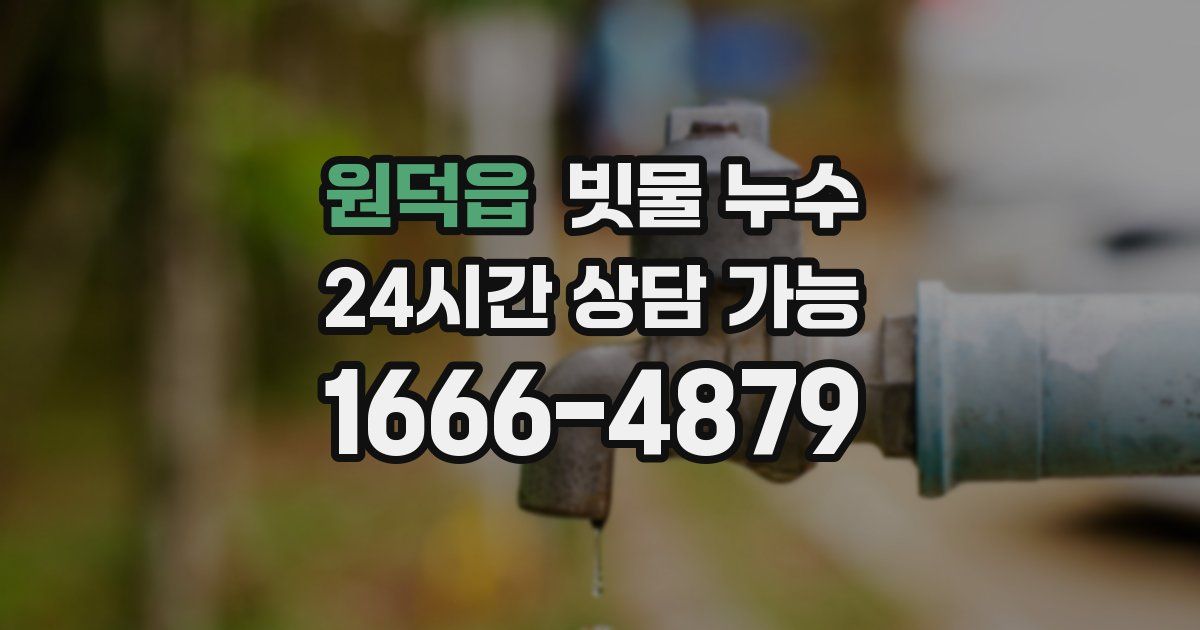 원덕읍 빗물 누수