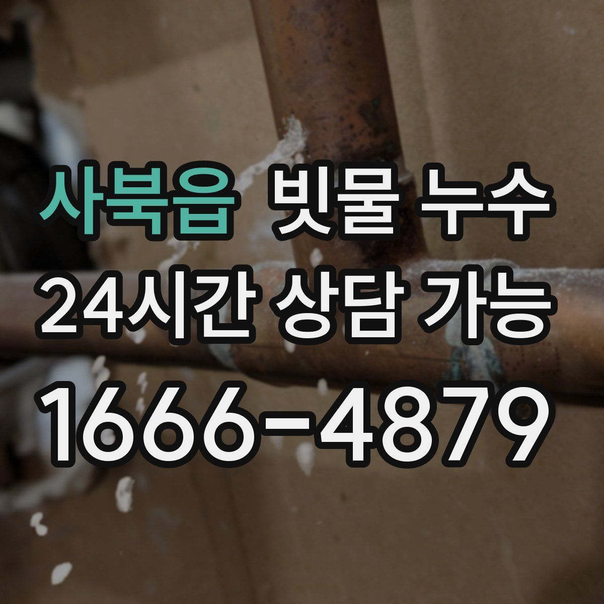 사북읍 빗물 누수