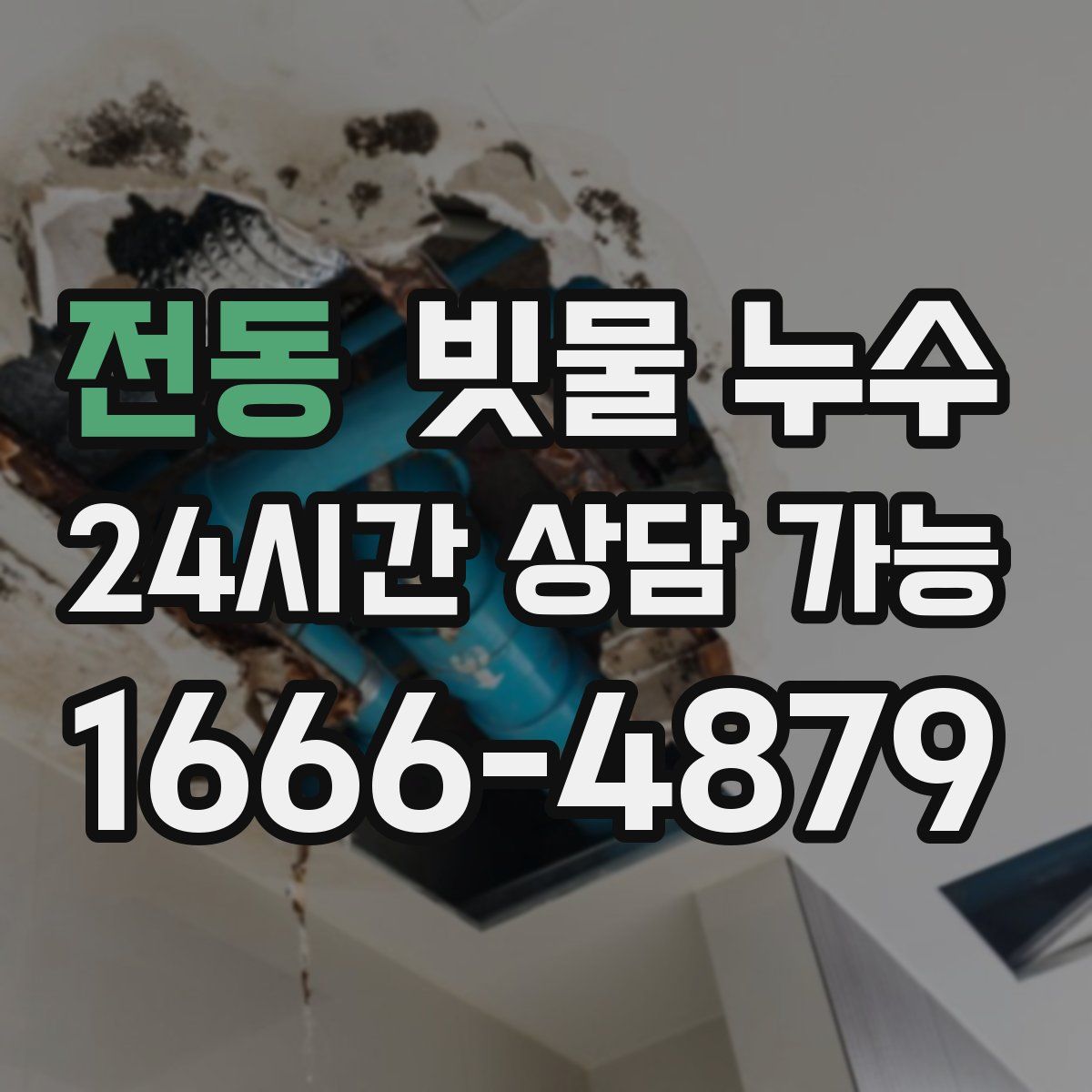 전동 빗물 누수