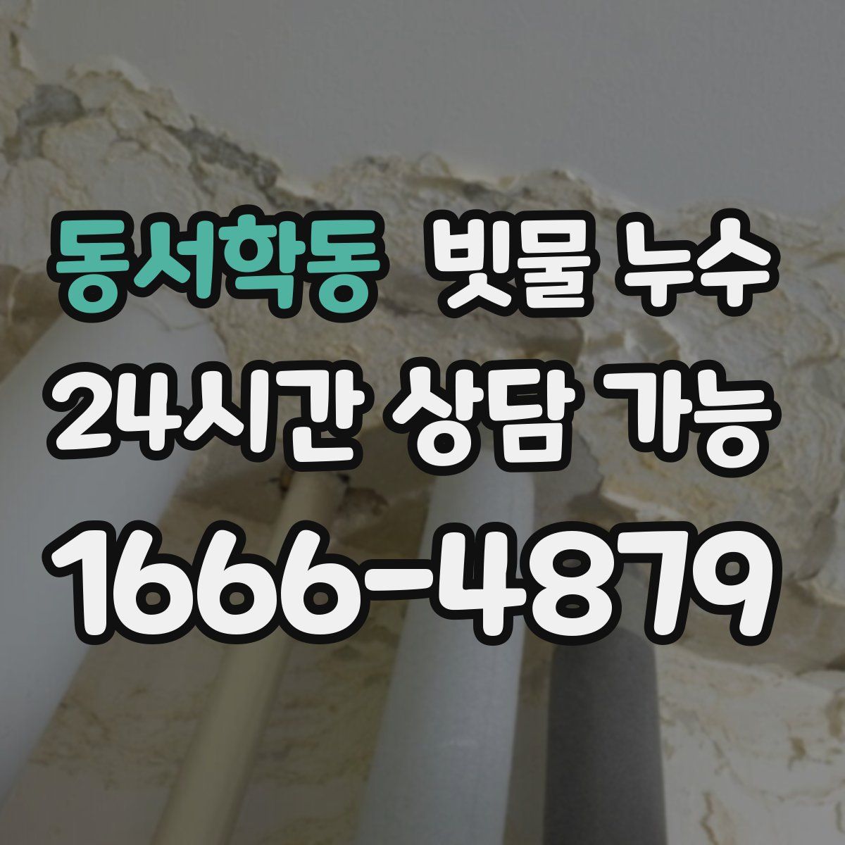 동서학동 빗물 누수