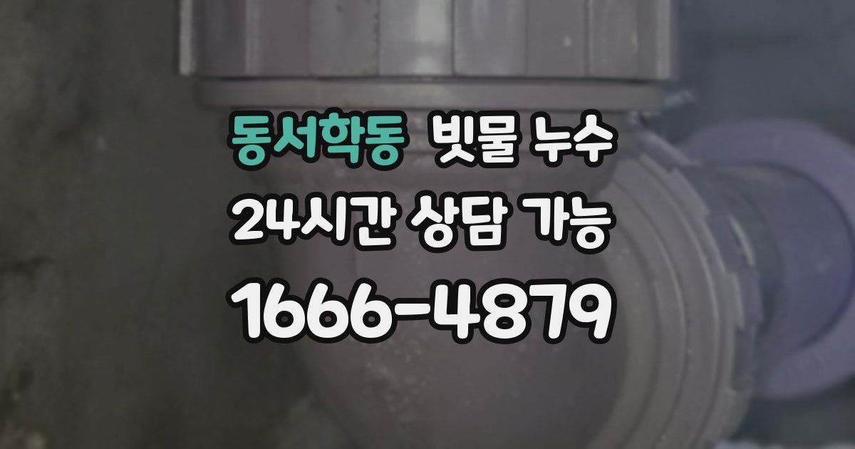 동서학동 빗물 누수