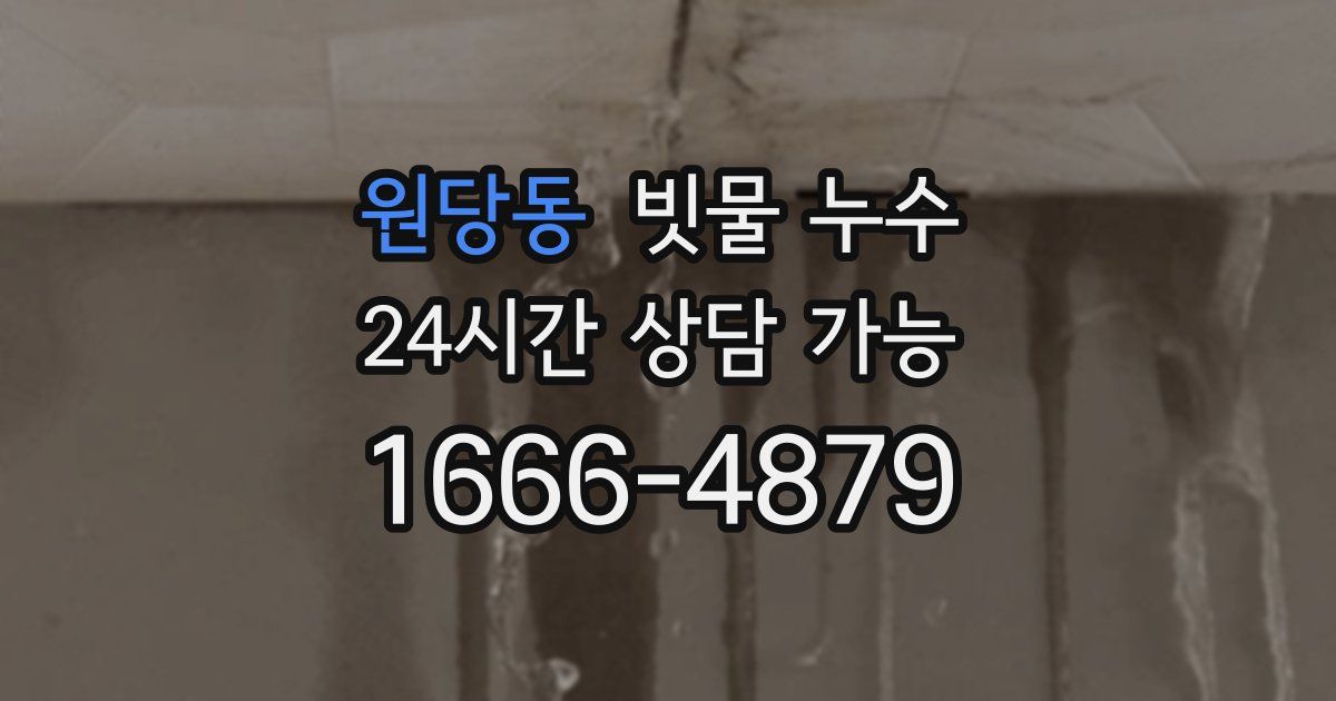 원당동 빗물 누수