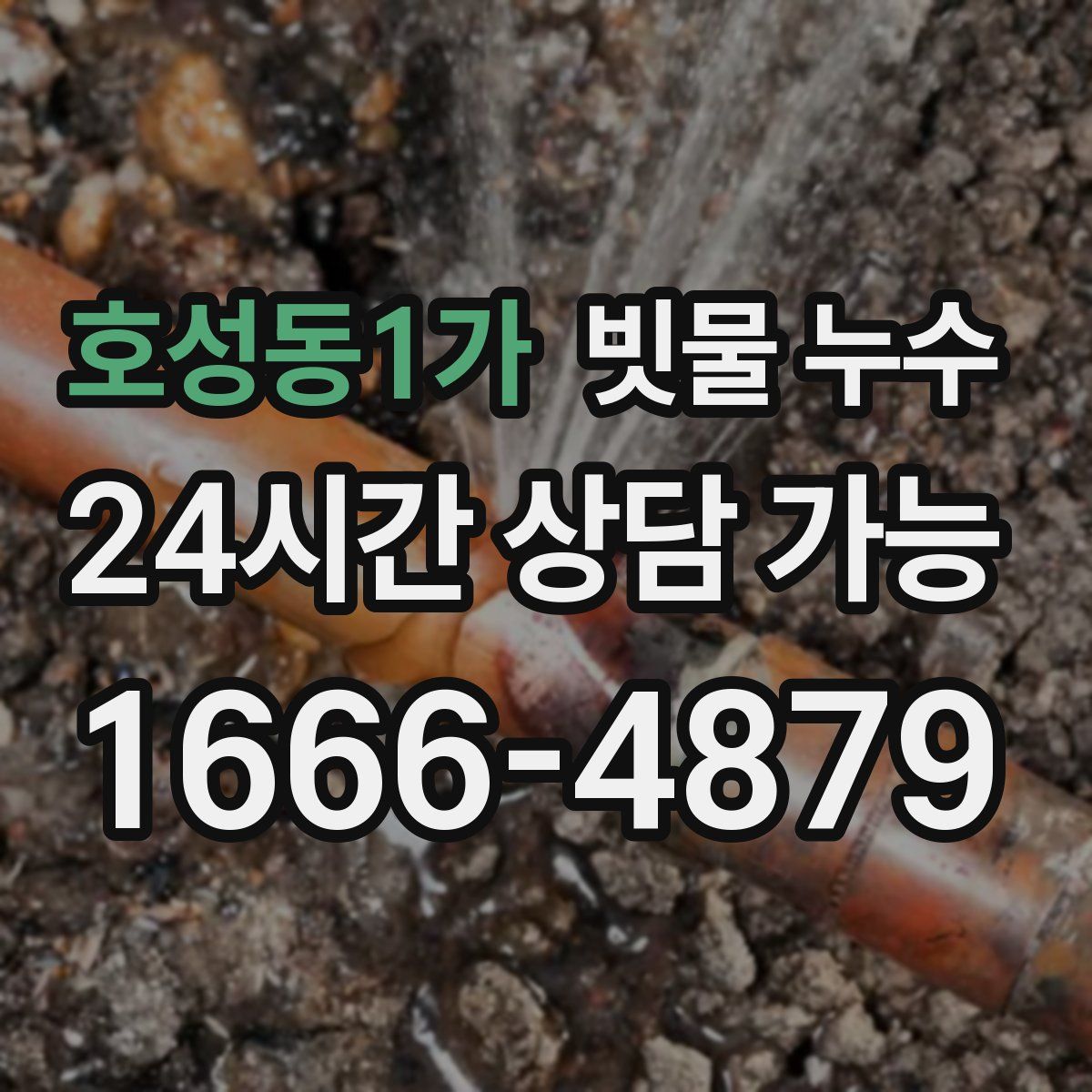 호성동1가 빗물 누수
