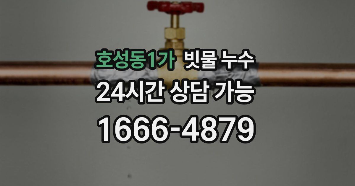 호성동1가 빗물 누수