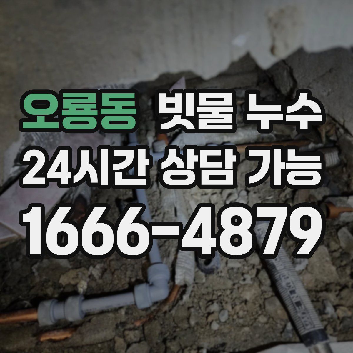 오룡동 빗물 누수