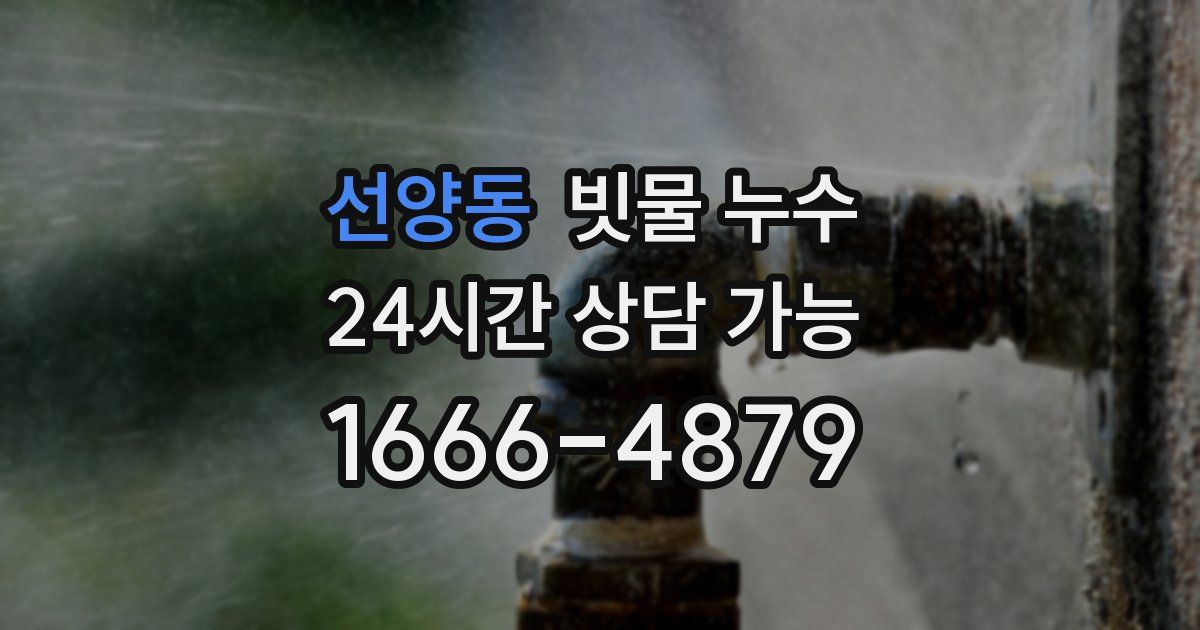 선양동 빗물 누수