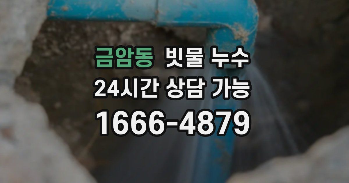 금암동 빗물 누수