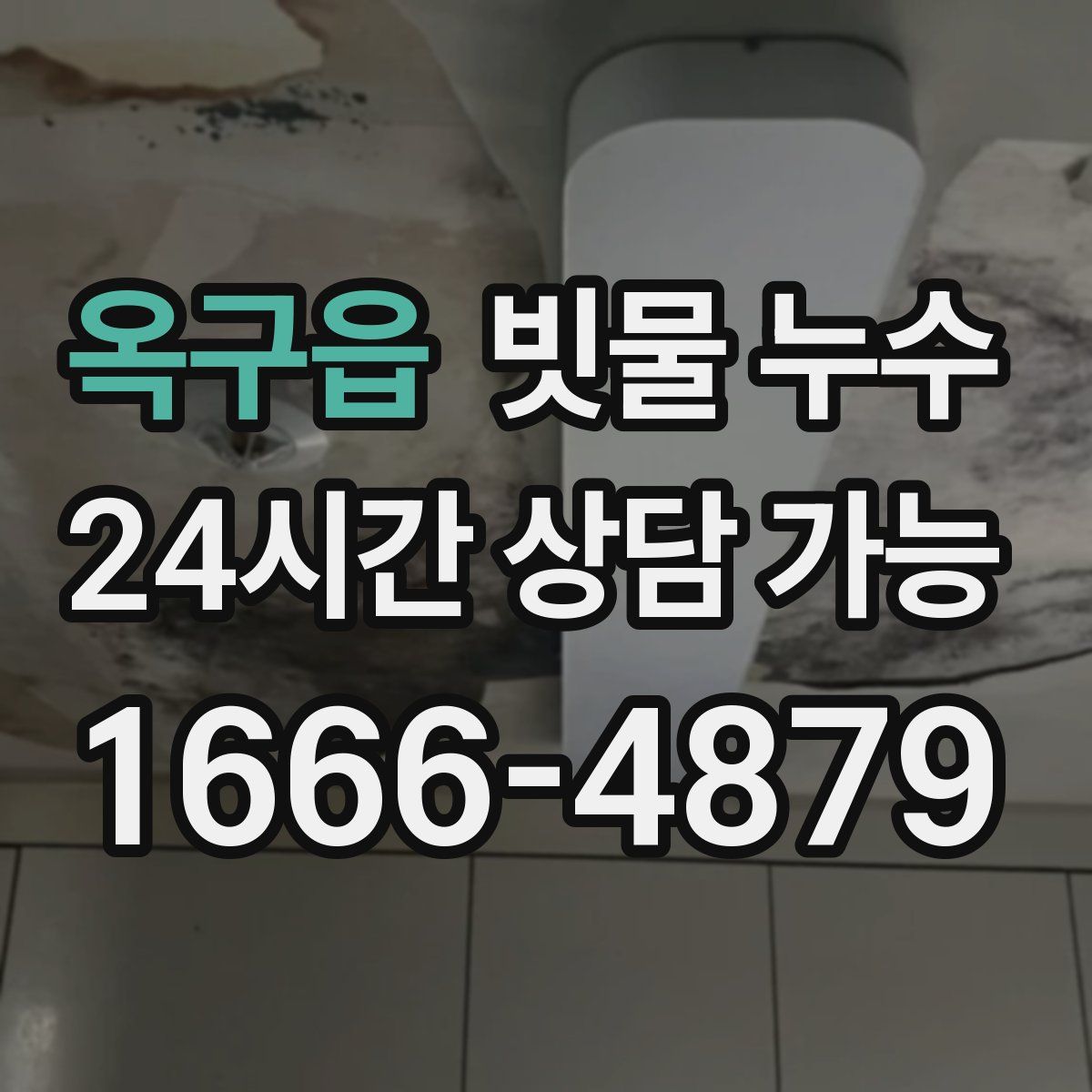 옥구읍 빗물 누수
