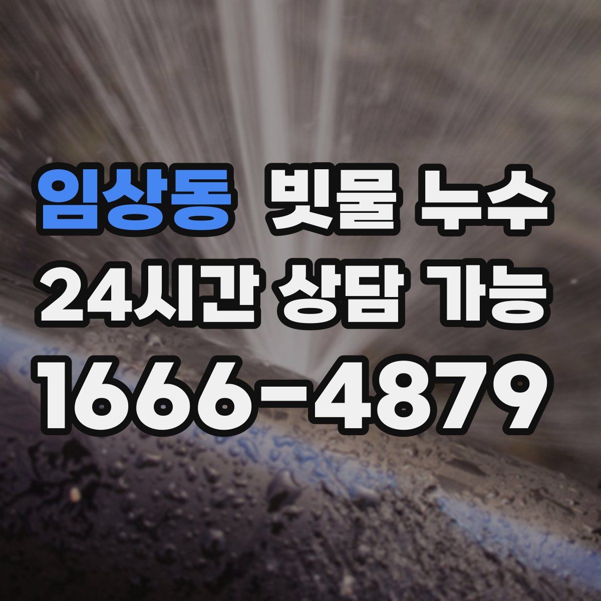 임상동 빗물 누수
