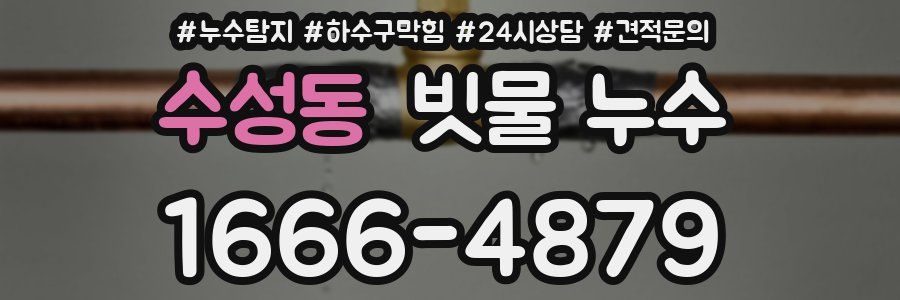 수성동 빗물 누수