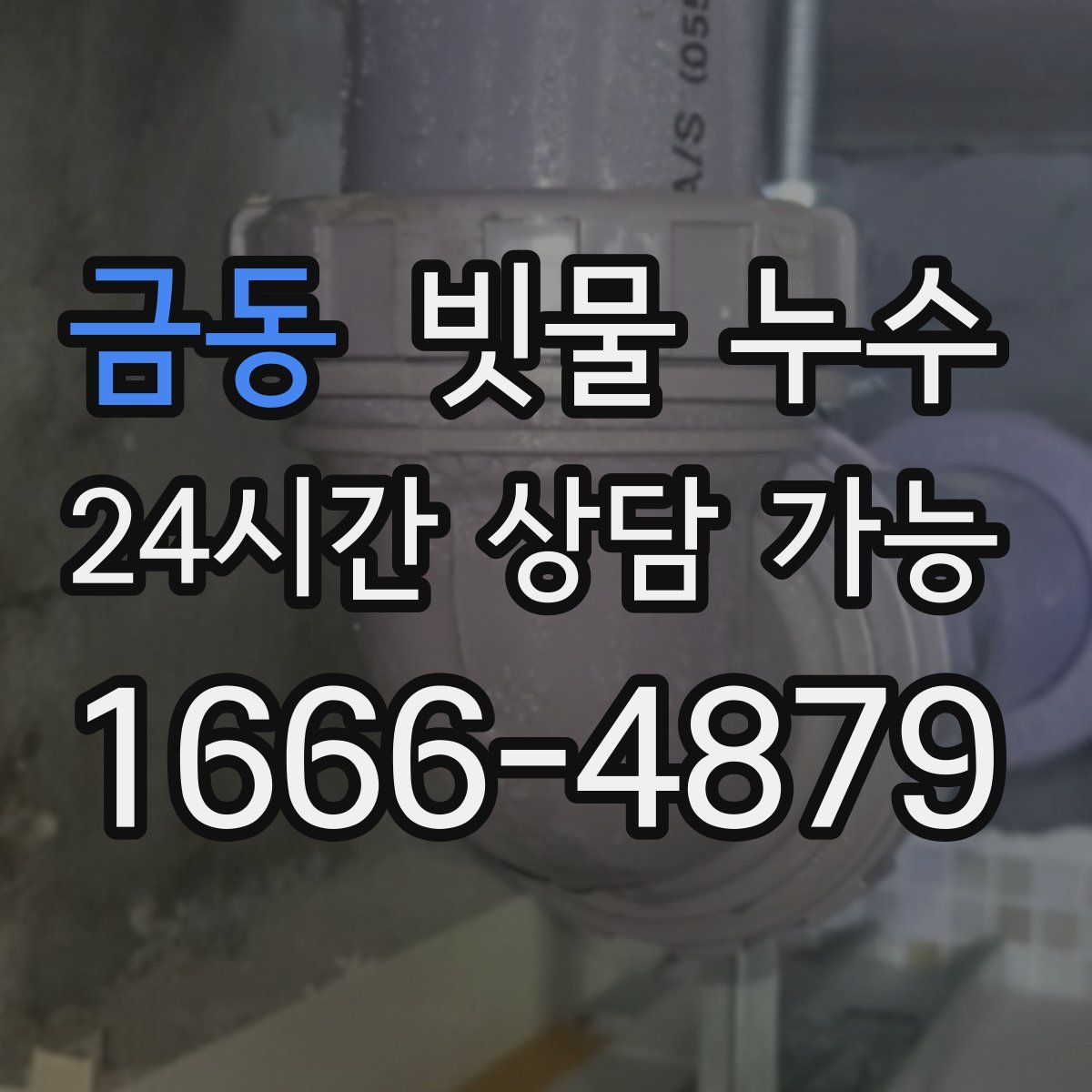금동 빗물 누수