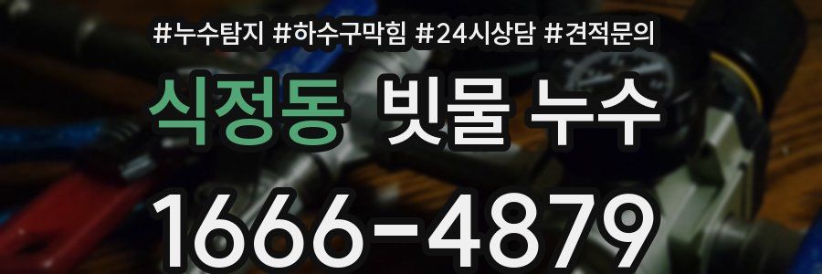 식정동 빗물 누수