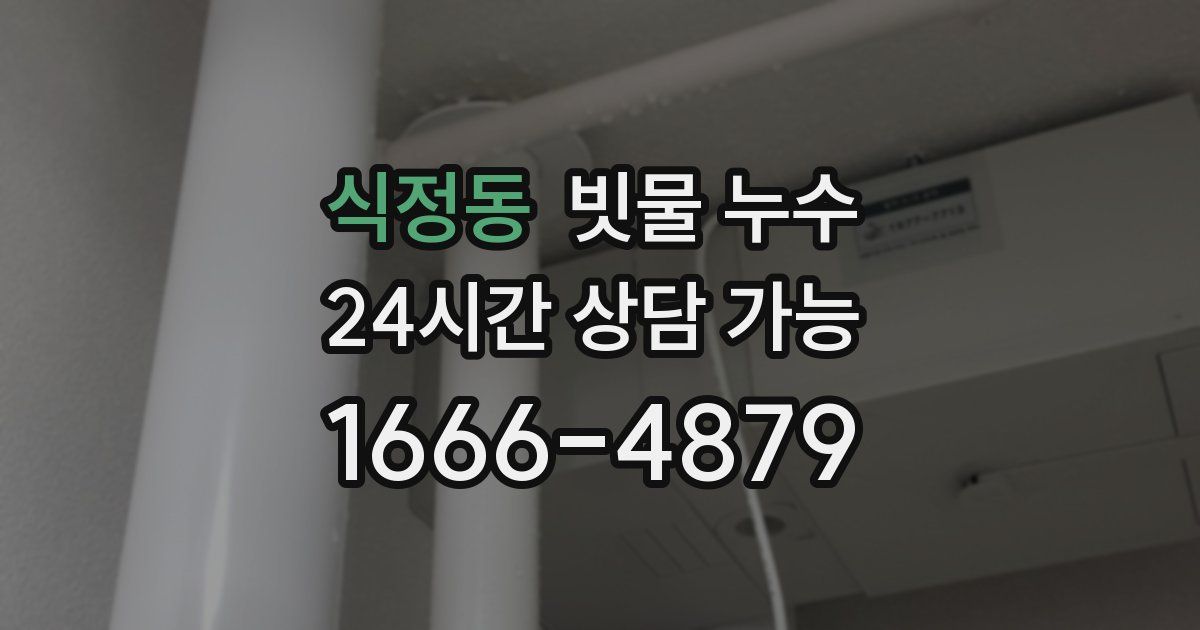 식정동 빗물 누수