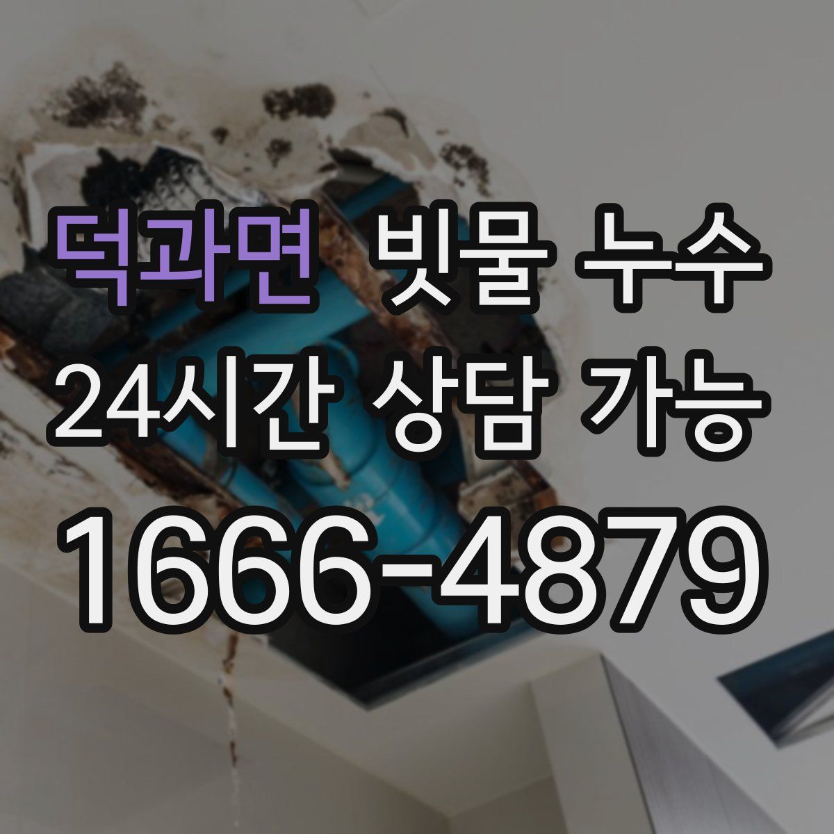 덕과면 빗물 누수
