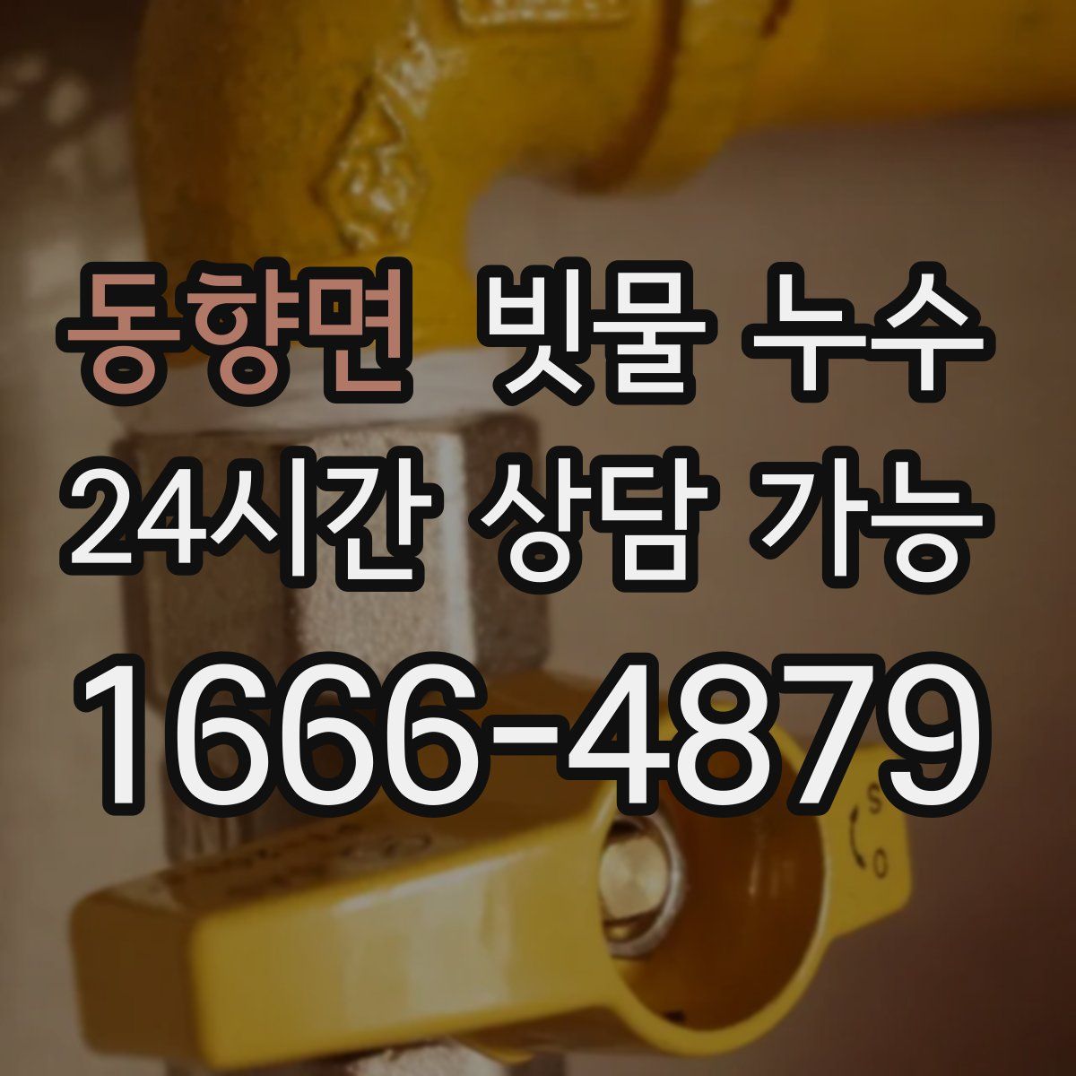 동향면 빗물 누수