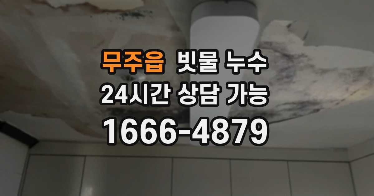 무주읍 빗물 누수