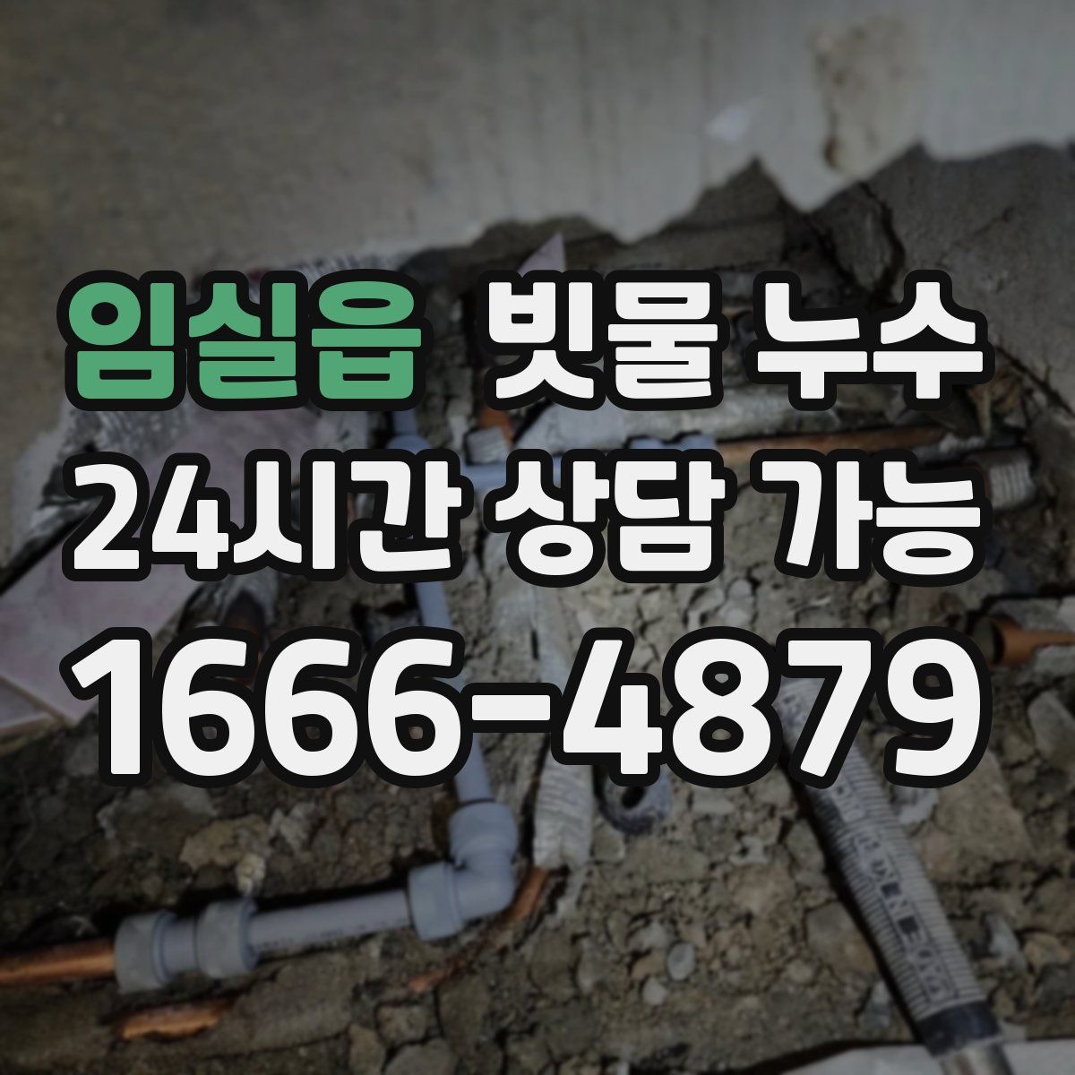임실읍 빗물 누수