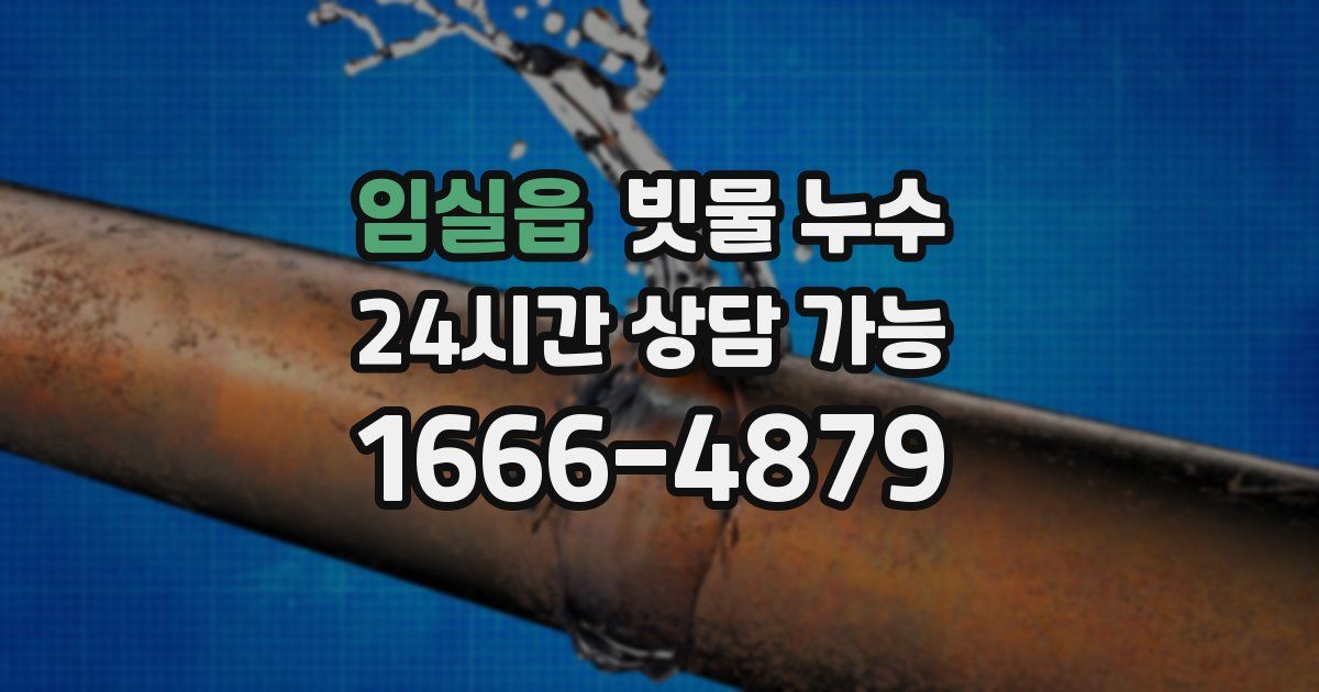 임실읍 빗물 누수
