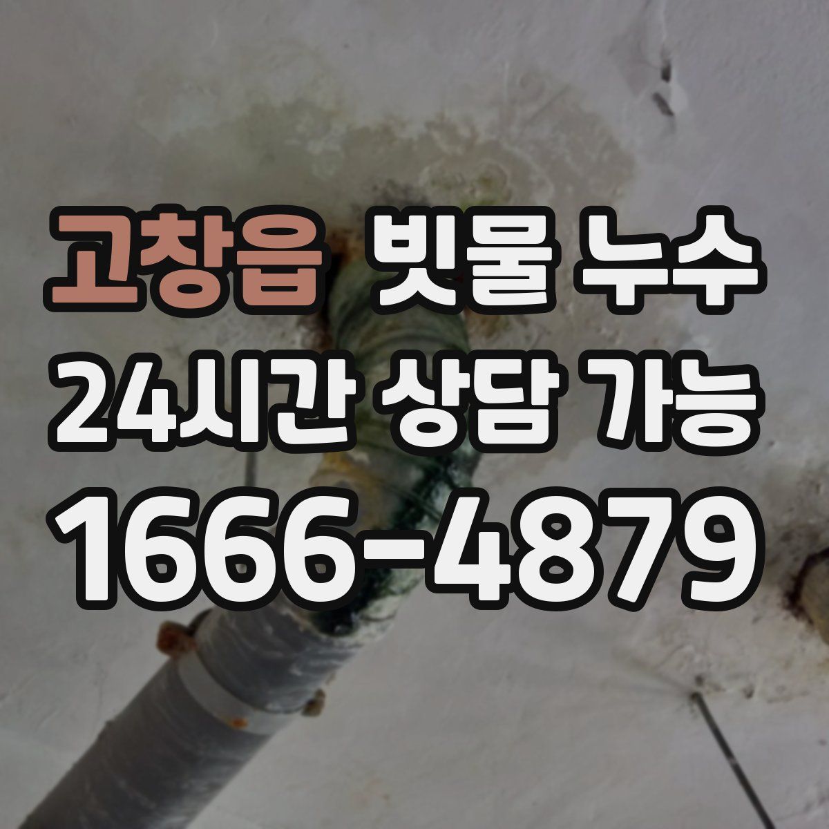고창읍 빗물 누수