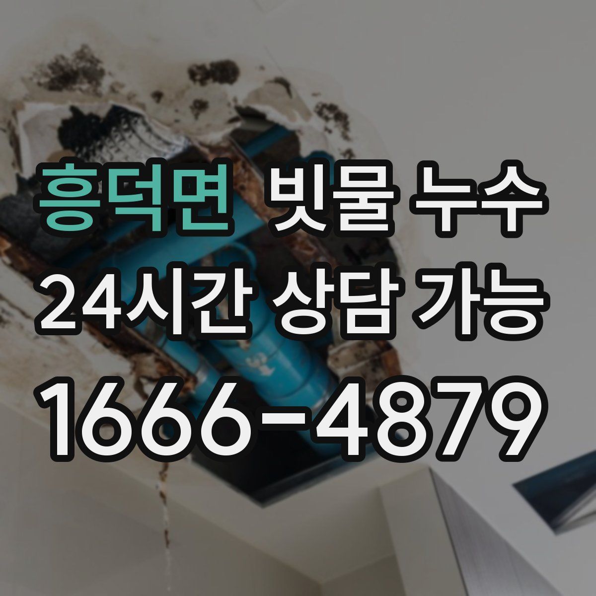 흥덕면 빗물 누수