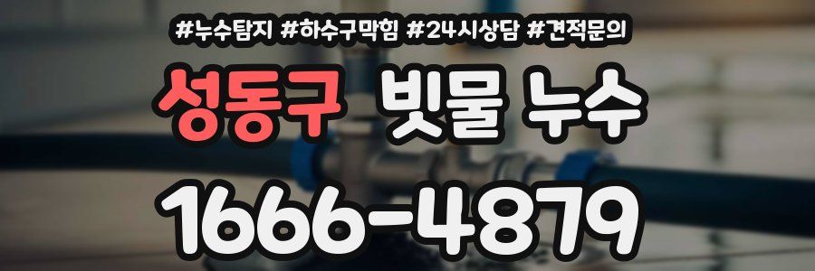 성동구 빗물 누수