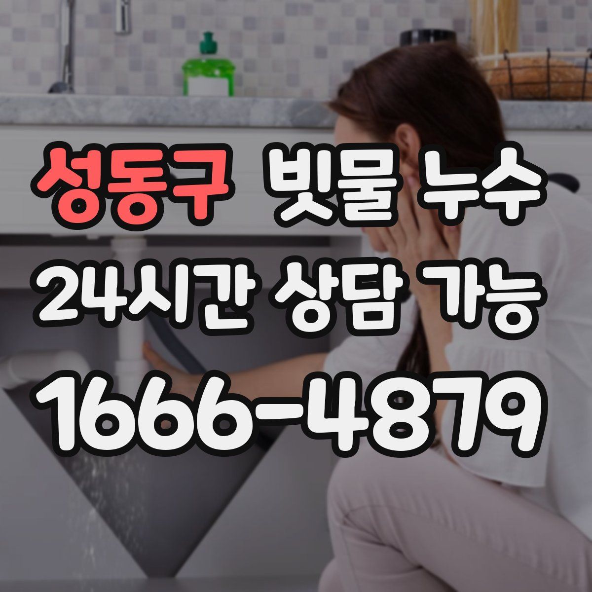 성동구 빗물 누수