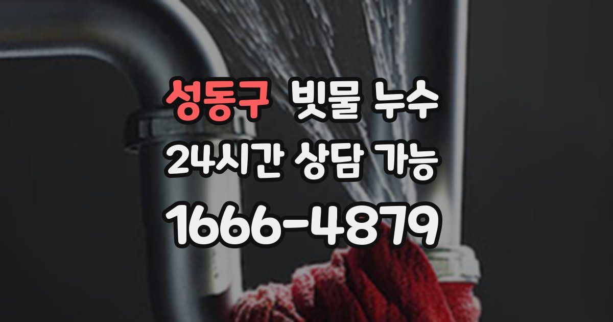 성동구 빗물 누수