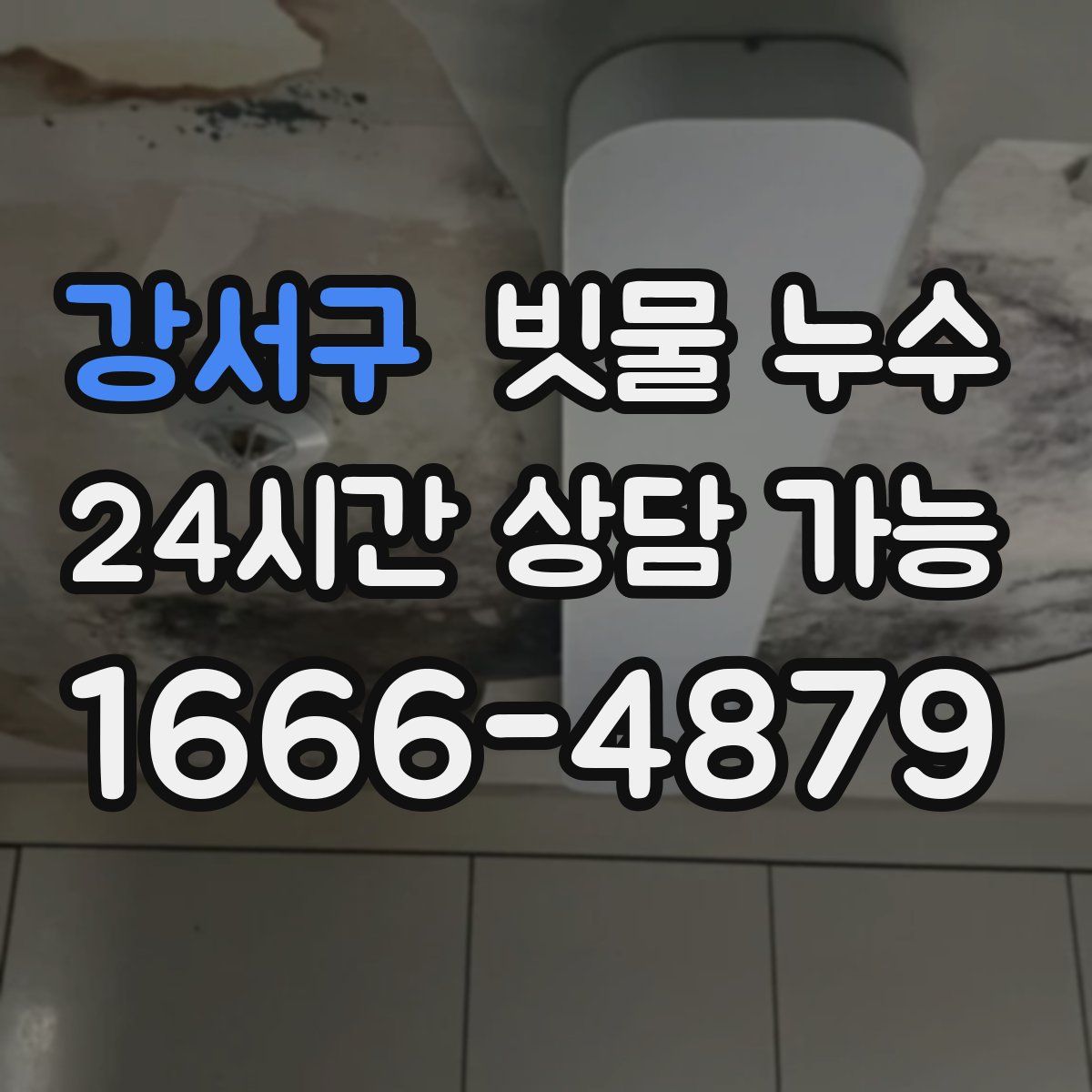 강서구 빗물 누수
