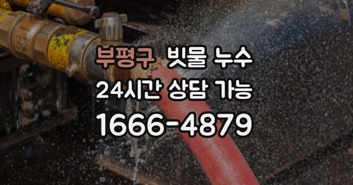 부평구 빗물 누수