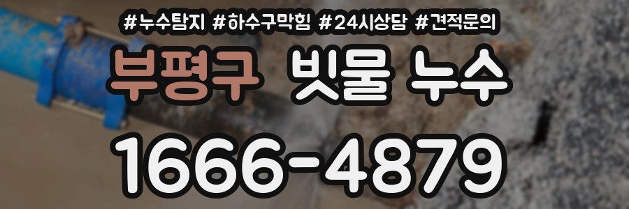 부평구 빗물 누수