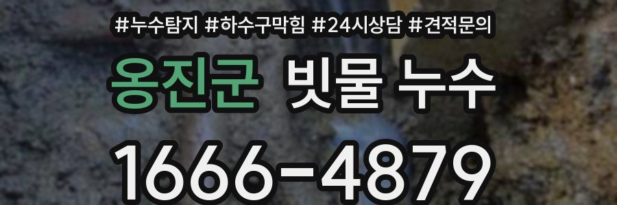 옹진군 빗물 누수