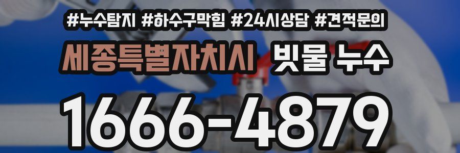 세종특별자치시 빗물 누수