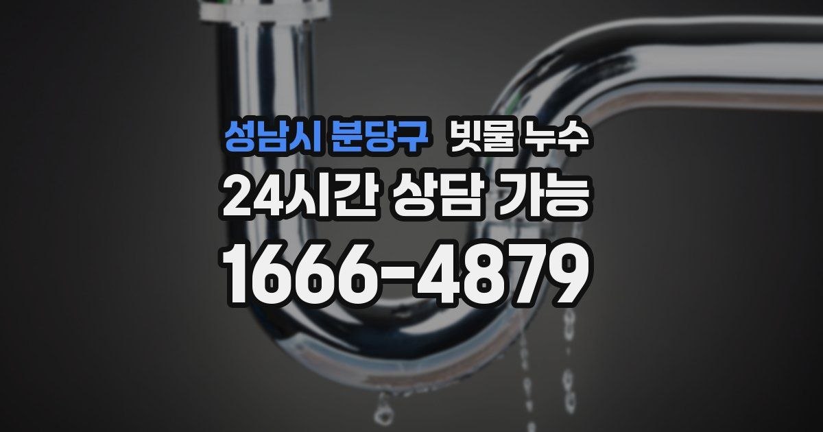 성남시 분당구 빗물 누수