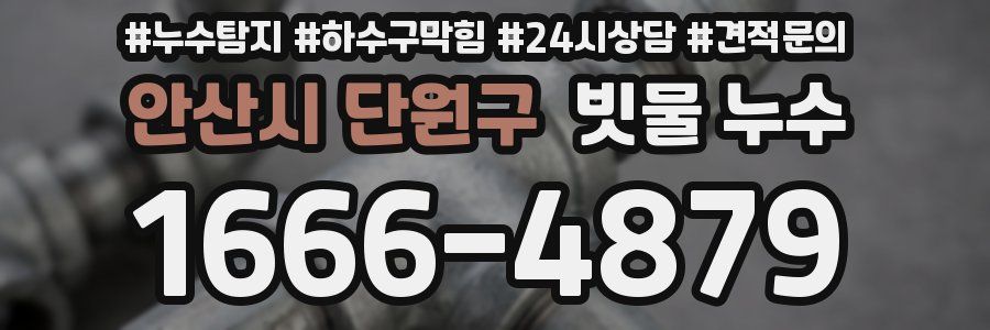 안산시 단원구 빗물 누수