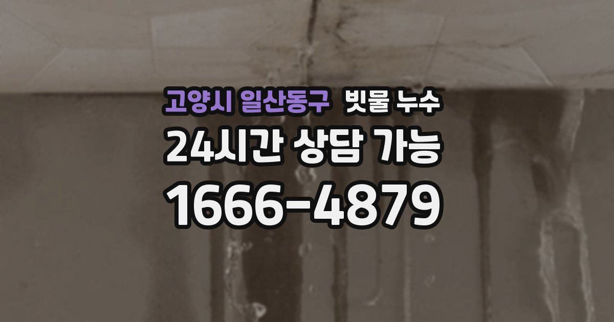 고양시 일산동구 빗물 누수