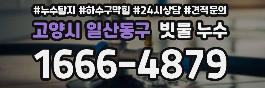 고양시 일산동구 빗물 누수