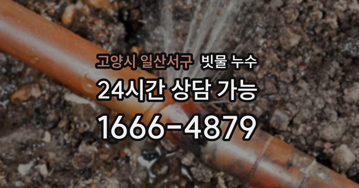 고양시 일산서구 빗물 누수