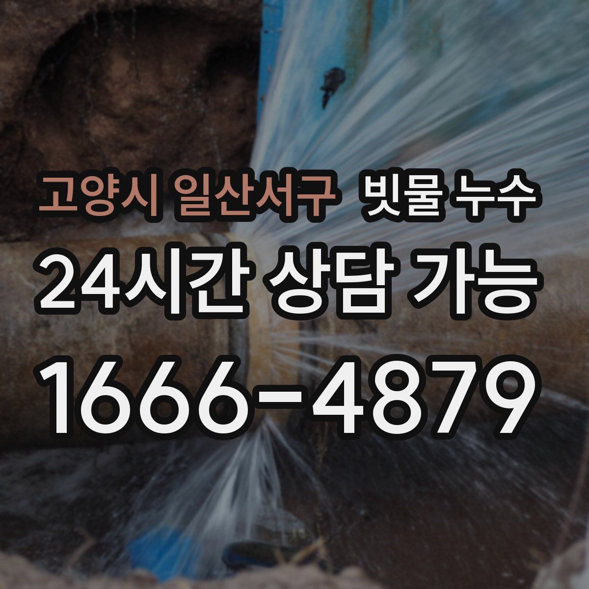 고양시 일산서구 빗물 누수