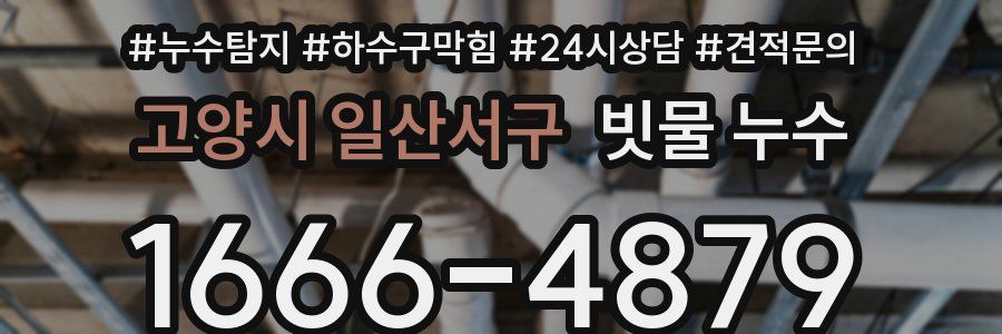 고양시 일산서구 빗물 누수