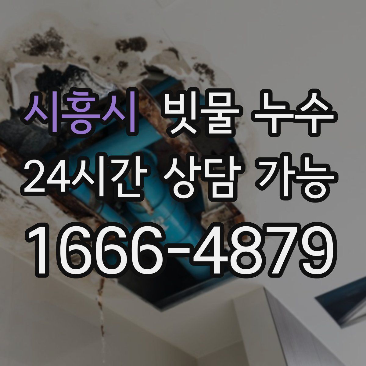 시흥시 빗물 누수