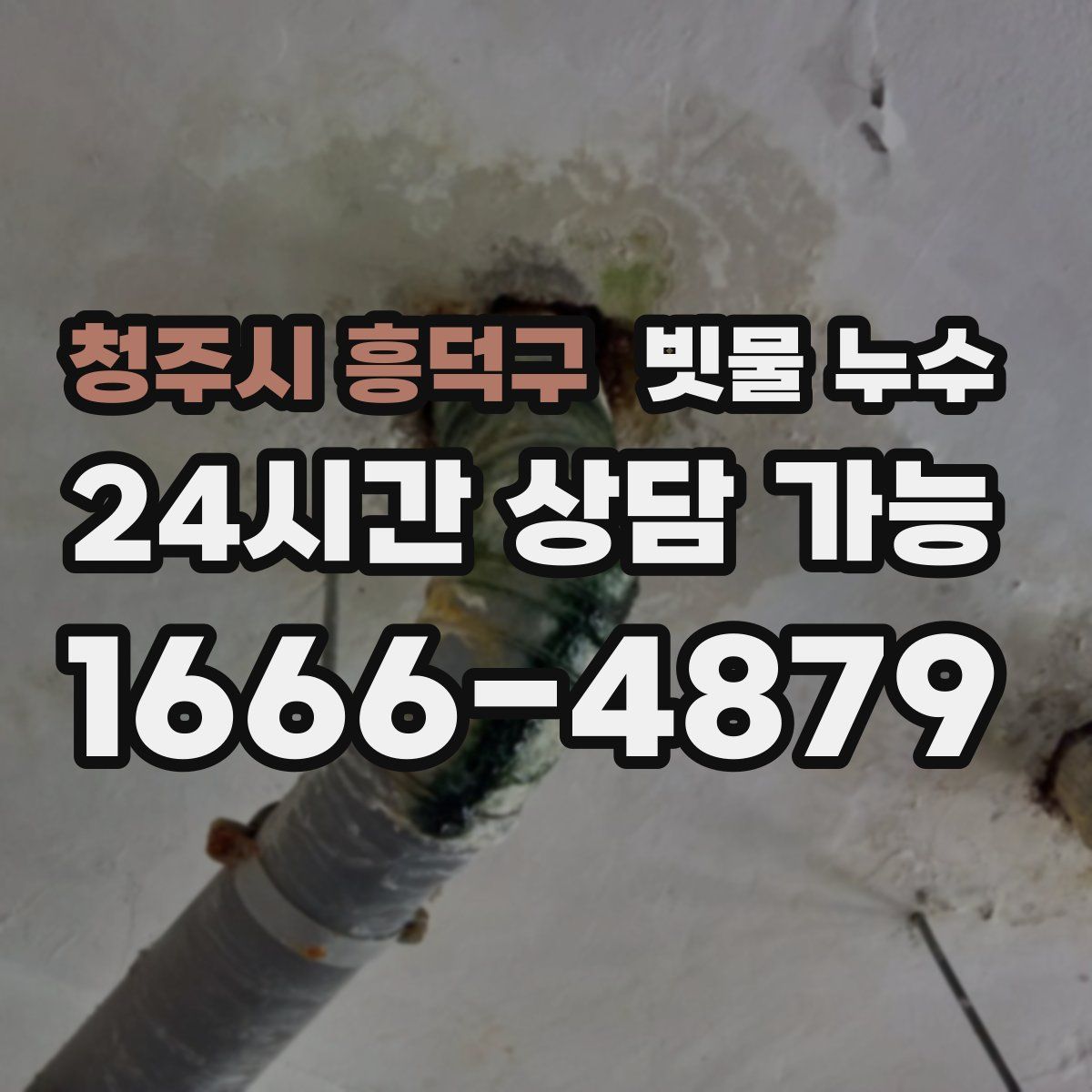 청주시 흥덕구 빗물 누수