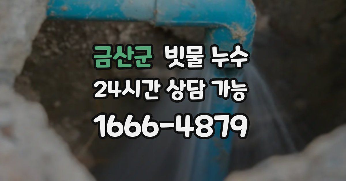 금산군 빗물 누수
