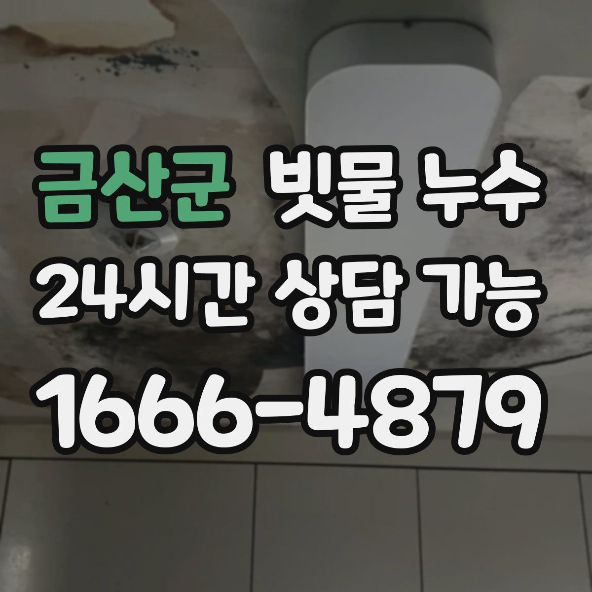 금산군 빗물 누수