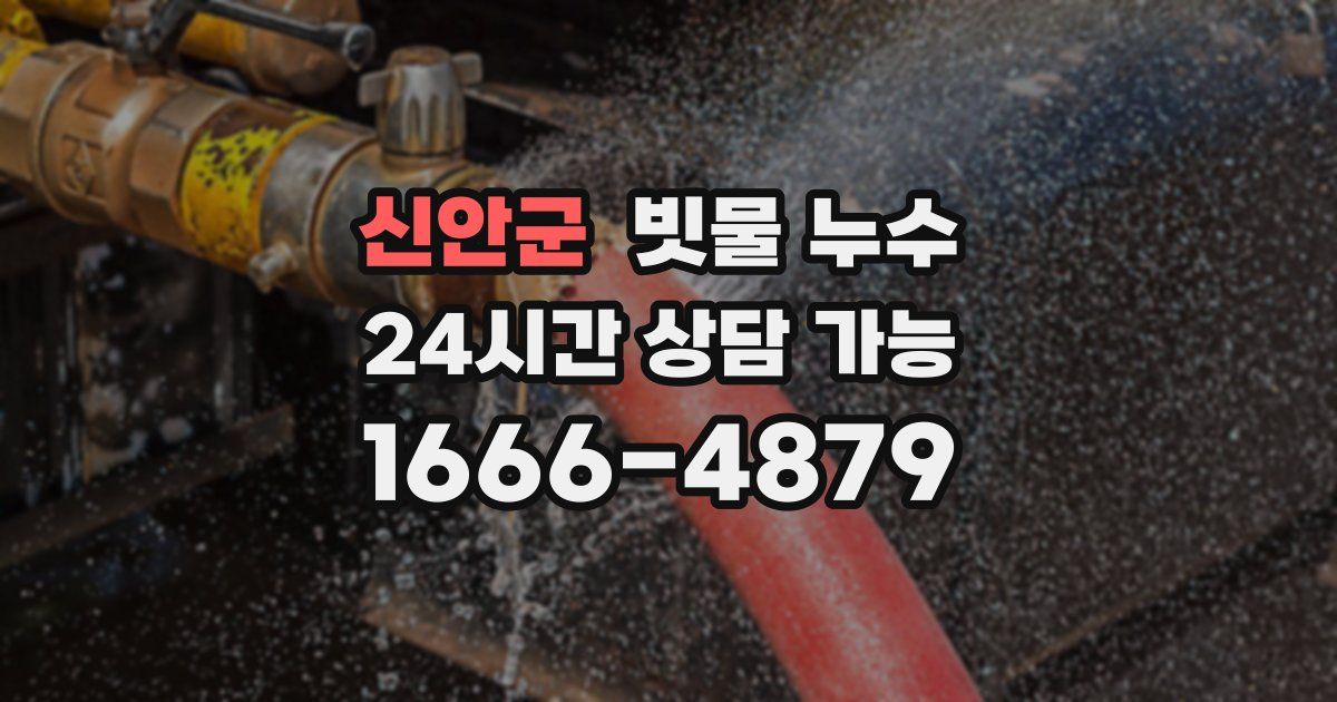 신안군 빗물 누수