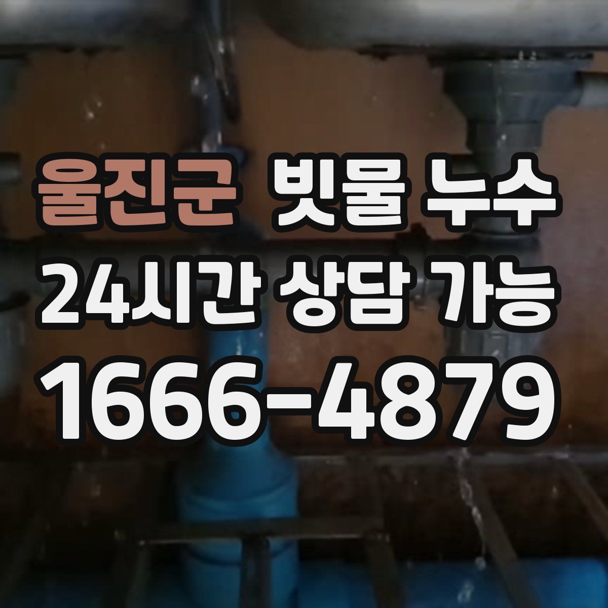 울진군 빗물 누수