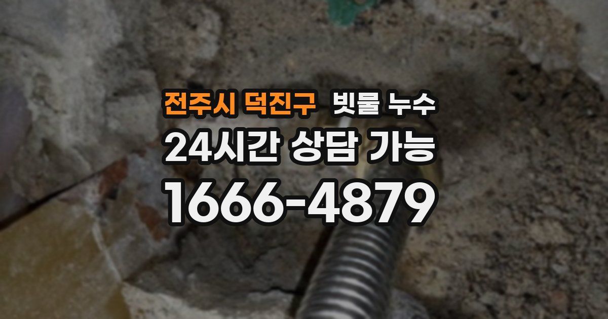 전주시 덕진구 빗물 누수