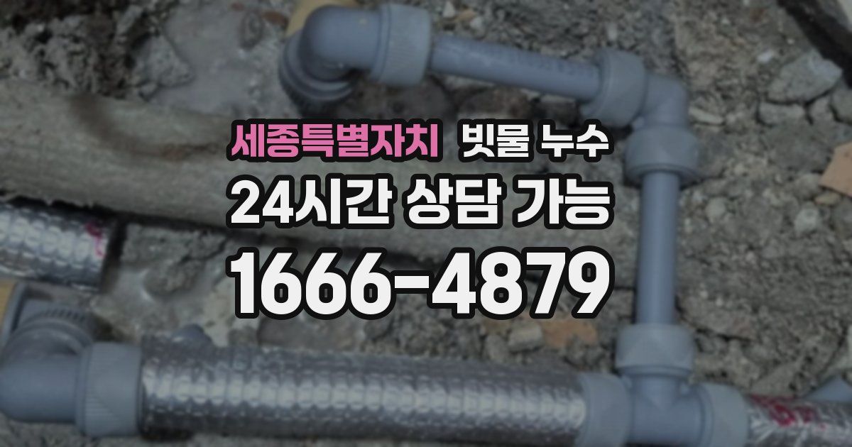 세종특별자치 빗물 누수