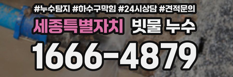 세종특별자치 빗물 누수